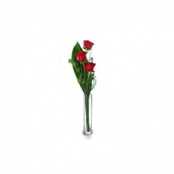 Rosas Torreón de los Guzmanes