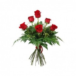 Rosas Helecho